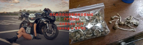 шишки Вязники