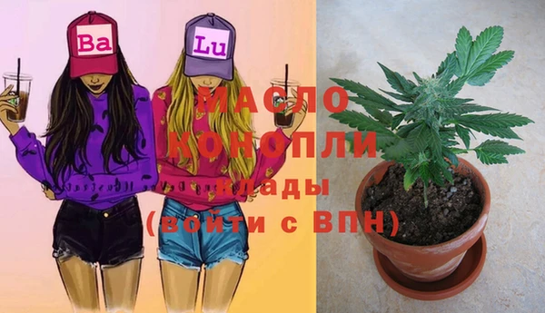 шишки Вязники