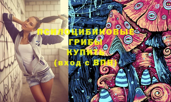 шишки Вязники