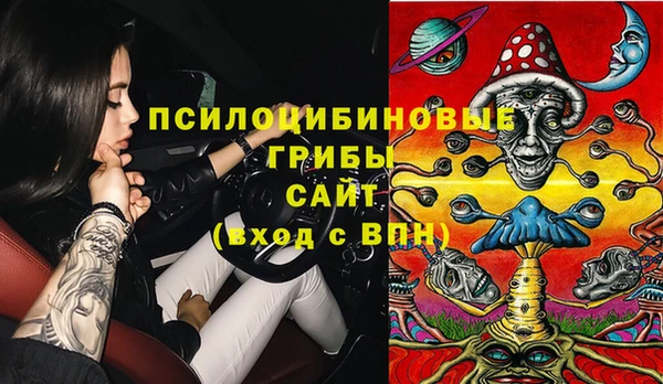шишки Вязники