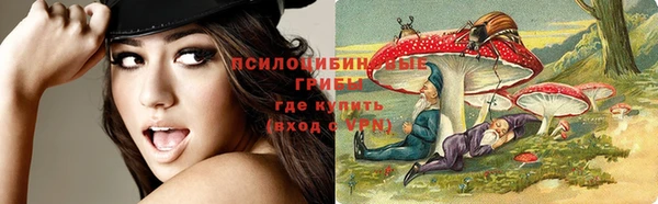 МДПВ Вязьма