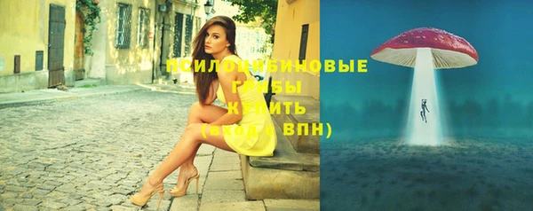 МДПВ Вязьма