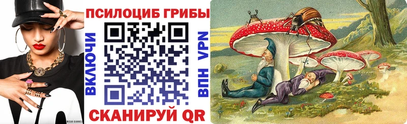 Псилоцибиновые грибы MAGIC MUSHROOMS  Купить закладки  Майский 